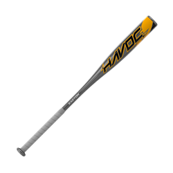 Easton 2022 Havoc USA Baseball Bat, 31 inch (-10)