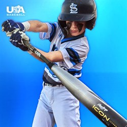Bats Image